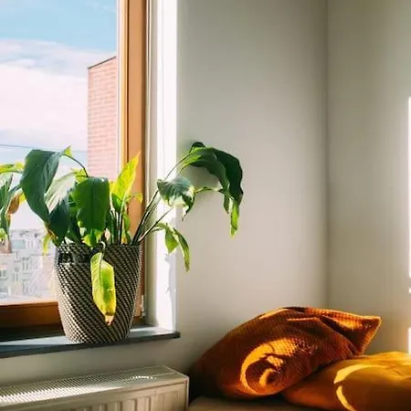Peaceful Center Apartment